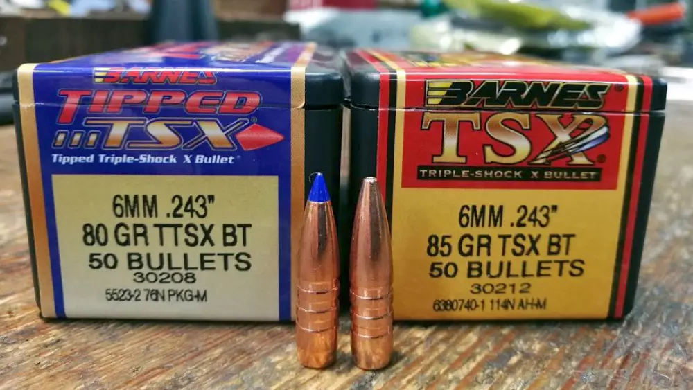   243 Winchester TSX TTSX