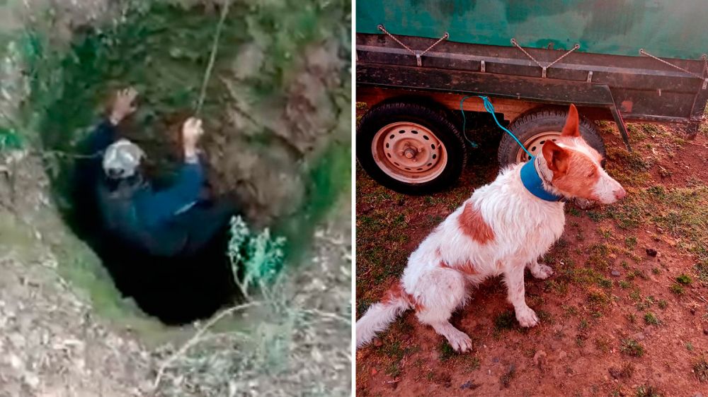 Un rehalero se juega la vida por salvar la de uno de sus perros