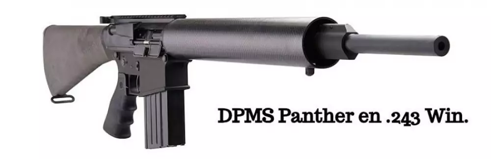   243 Winchester DPMS Panther