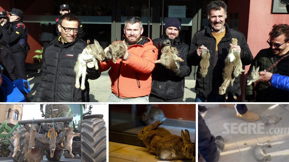 Los animalistas denunciarán a los agricultores que soltaron conejos en la sede de Agricultura como protesta por los daños a sus cultivos