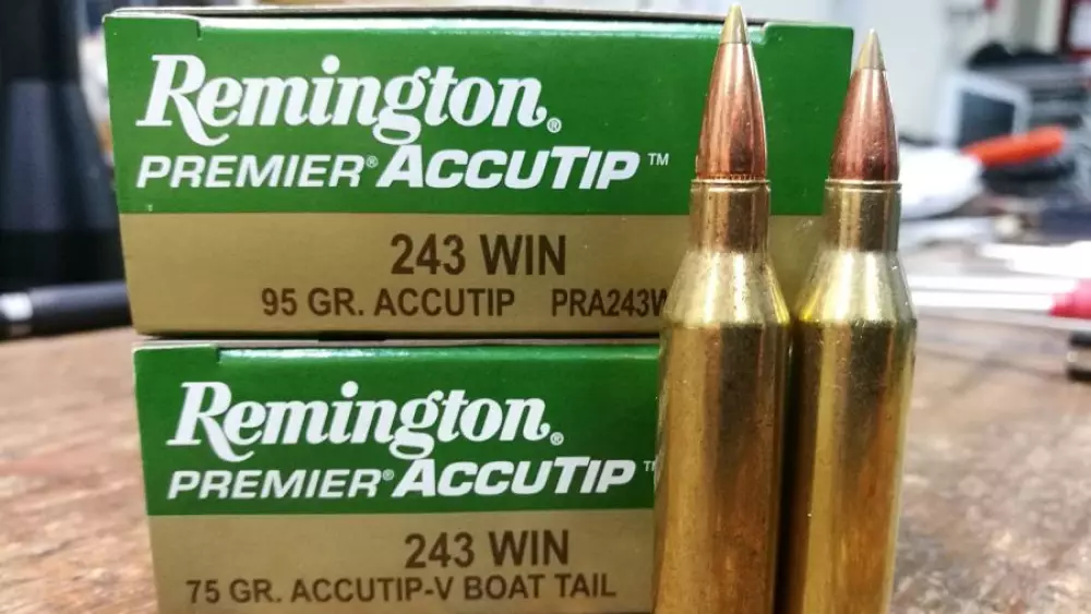   243 Winchester Remington Premier Accutip