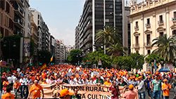  Manifestación caza Valencia
