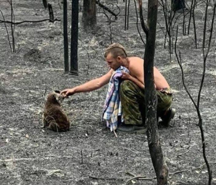  cazador dando agua a koala