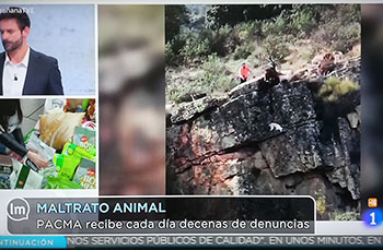  Pacma manipula el maltrato animal en TVE