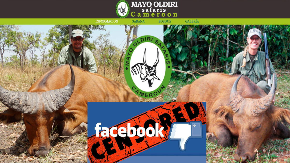  Mayo Oldiri Safaris Cameroun