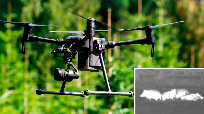  Drones y caza