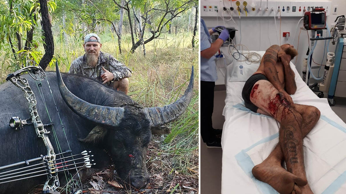  Cazador australiano gravemente herido por un búfalo