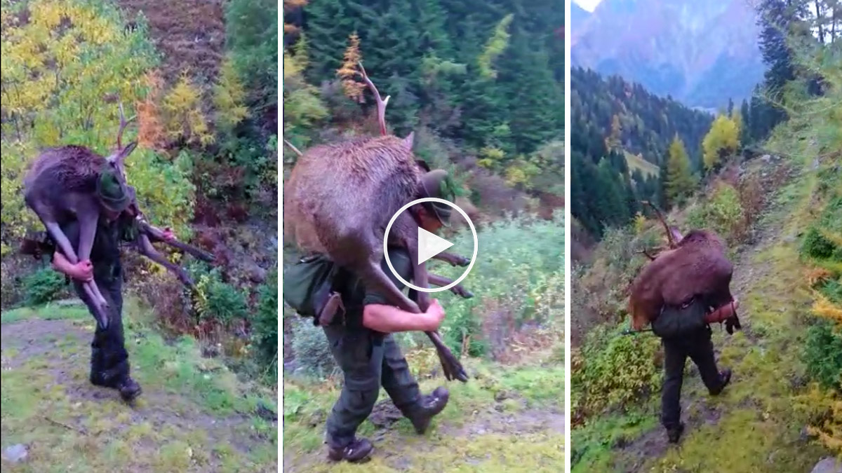  Un cazador carga un ciervo y se lo lleva a cuestas
