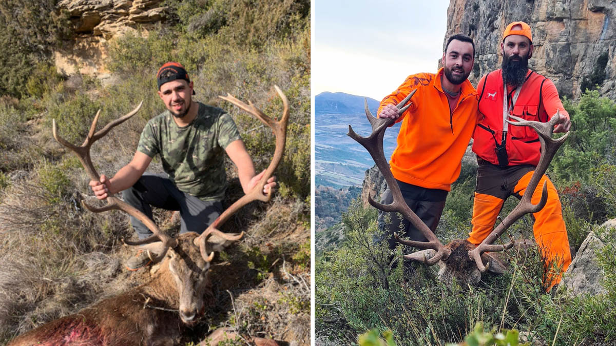   caza de ciervos enormes y grandes jabalíes en Cataluña