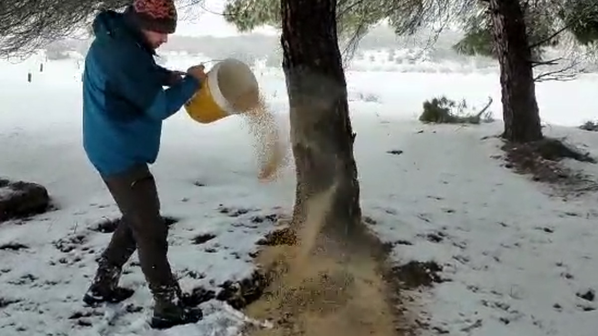  cazadores llevan alimento animales silvestres nevada