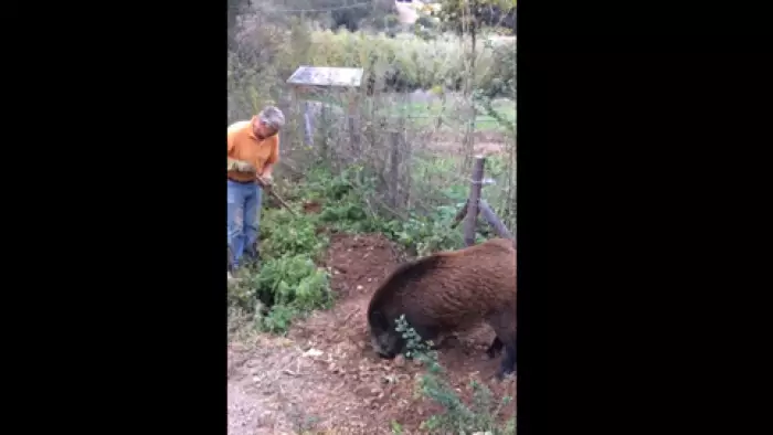 d44l90tp.webp No image