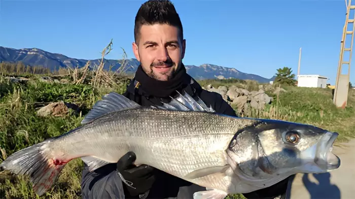 Señuelos  Pesca a spinning - tecnicas de pesca videos fotos blog