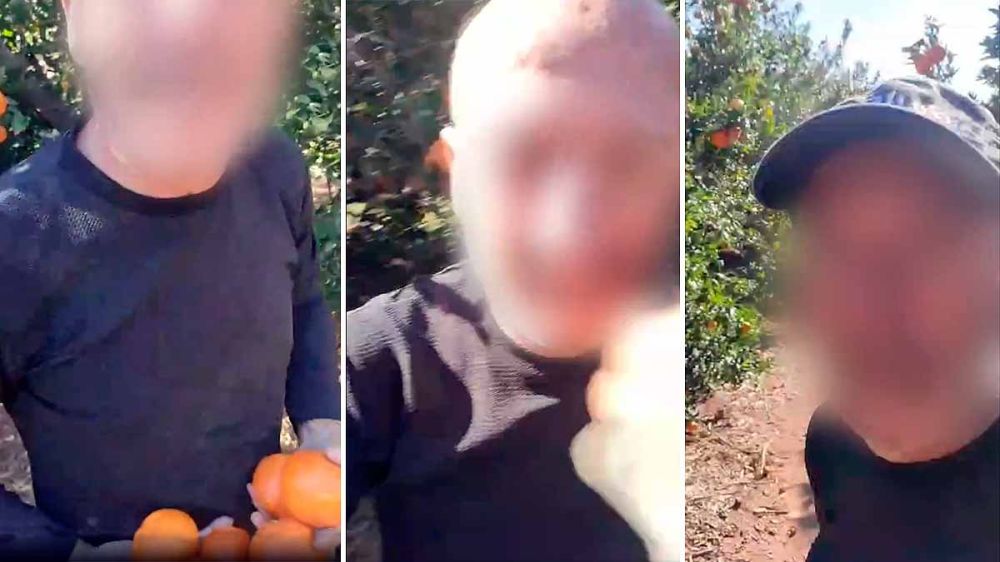 Un agricultor abofetea a un ladrón de naranjas y el vídeo se hace viral