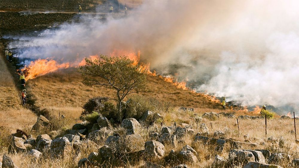 Los cazadores piden el desarrollo de un nuevo Plan Forestal Nacional para prevenir incendios