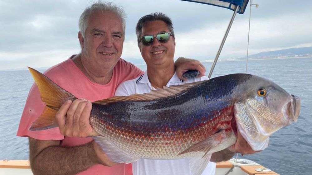 Pesca de depredadores en el estrecho de Gibraltar a curricán de fondo