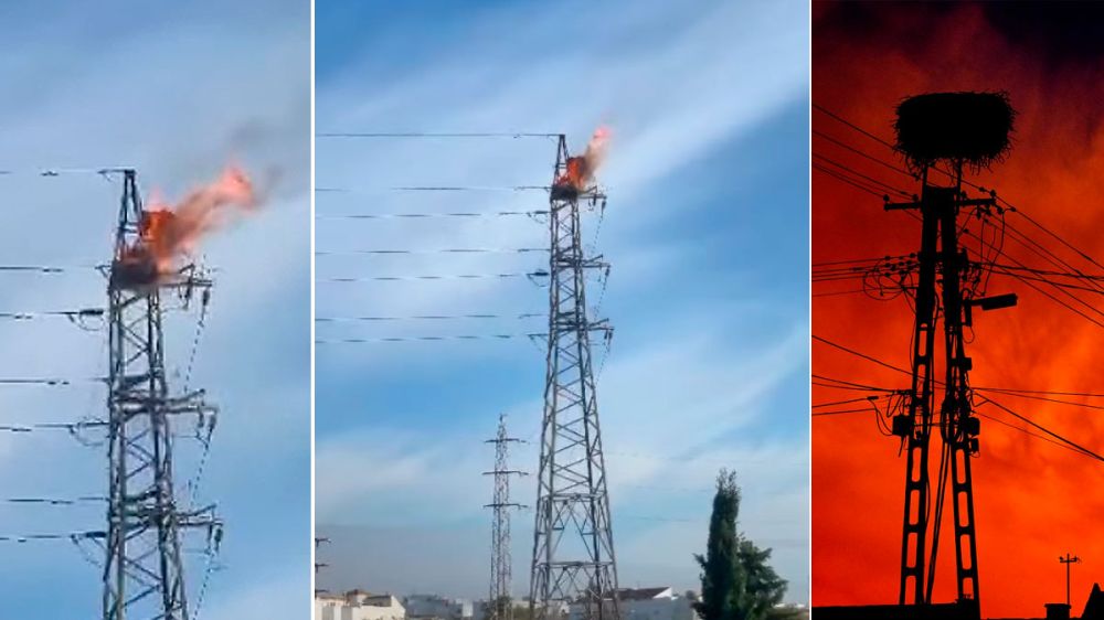 Espectacular incendio de un nido de cigüeña en una torre eléctrica