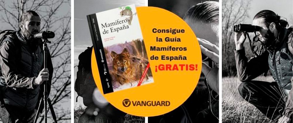 Promociones especiales Vanguard: Guía ‘Mamíferos de España’ de regalo