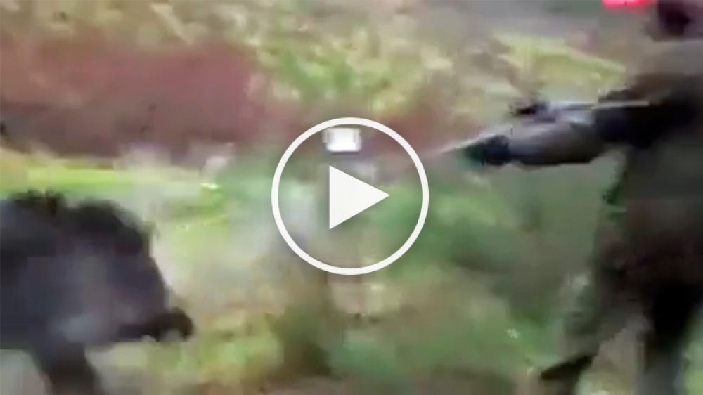 El peligro de la caza del jabalí: frena a un gran macareno con sus disparos en sus pies