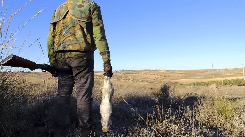 Un ayuntamiento oferta dos puestos de trabajo para cazadores que controlen la población del conejo de monte
