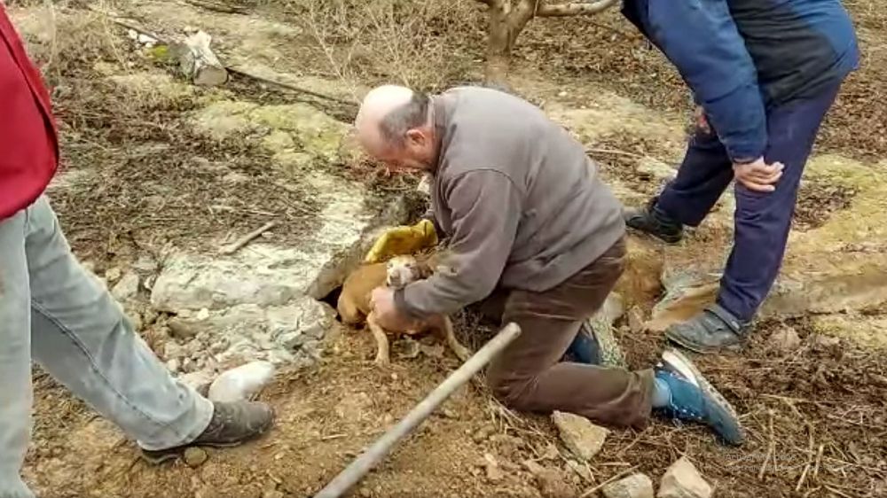Así han rescatado a este perro que se mete en una madriguera tras un conejo