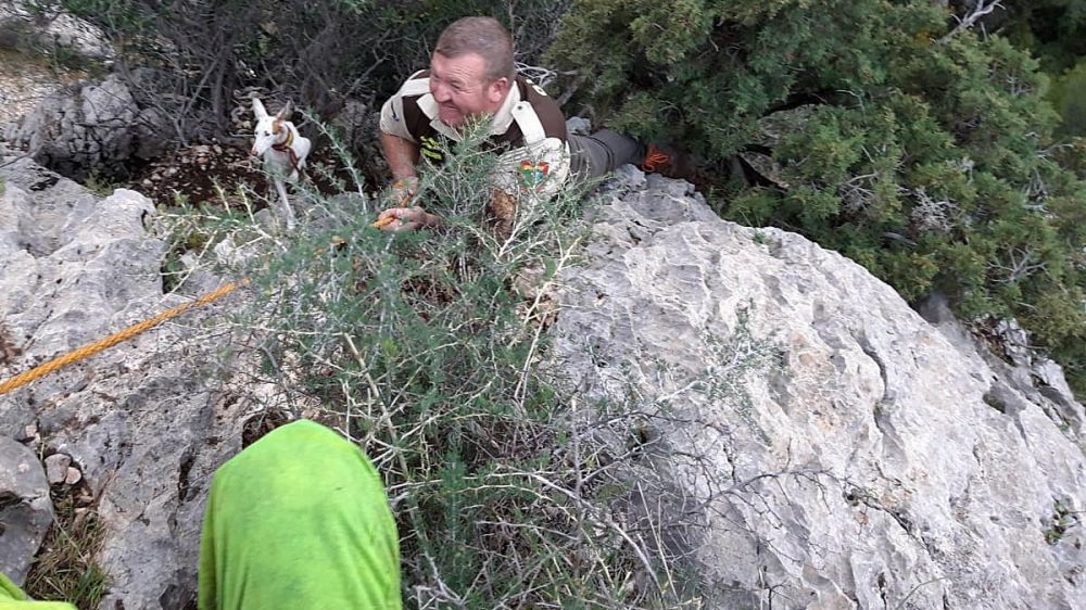Rehaleros y Guardas Rurales se juegan la vida para salvar la de perros de caza atrapados en un acantilado