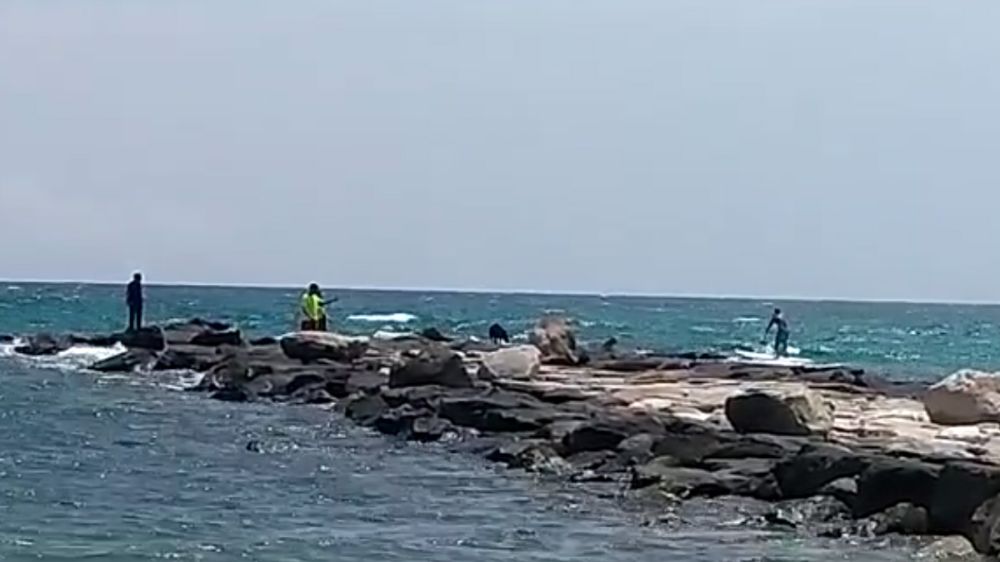 Un jabalí hiere a dos personas en una playa de Alicante