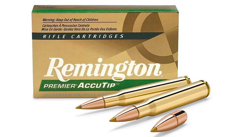   300 Win Mag Remington ACCUTIP