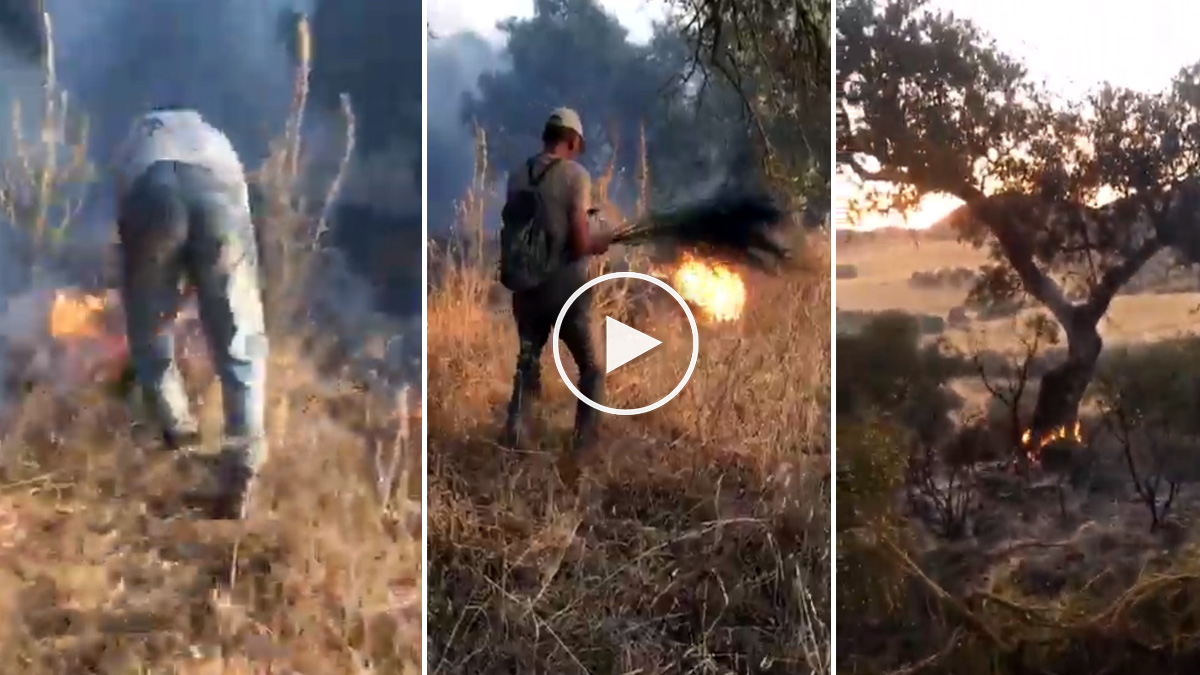  cazadores ayudan extinción incendio